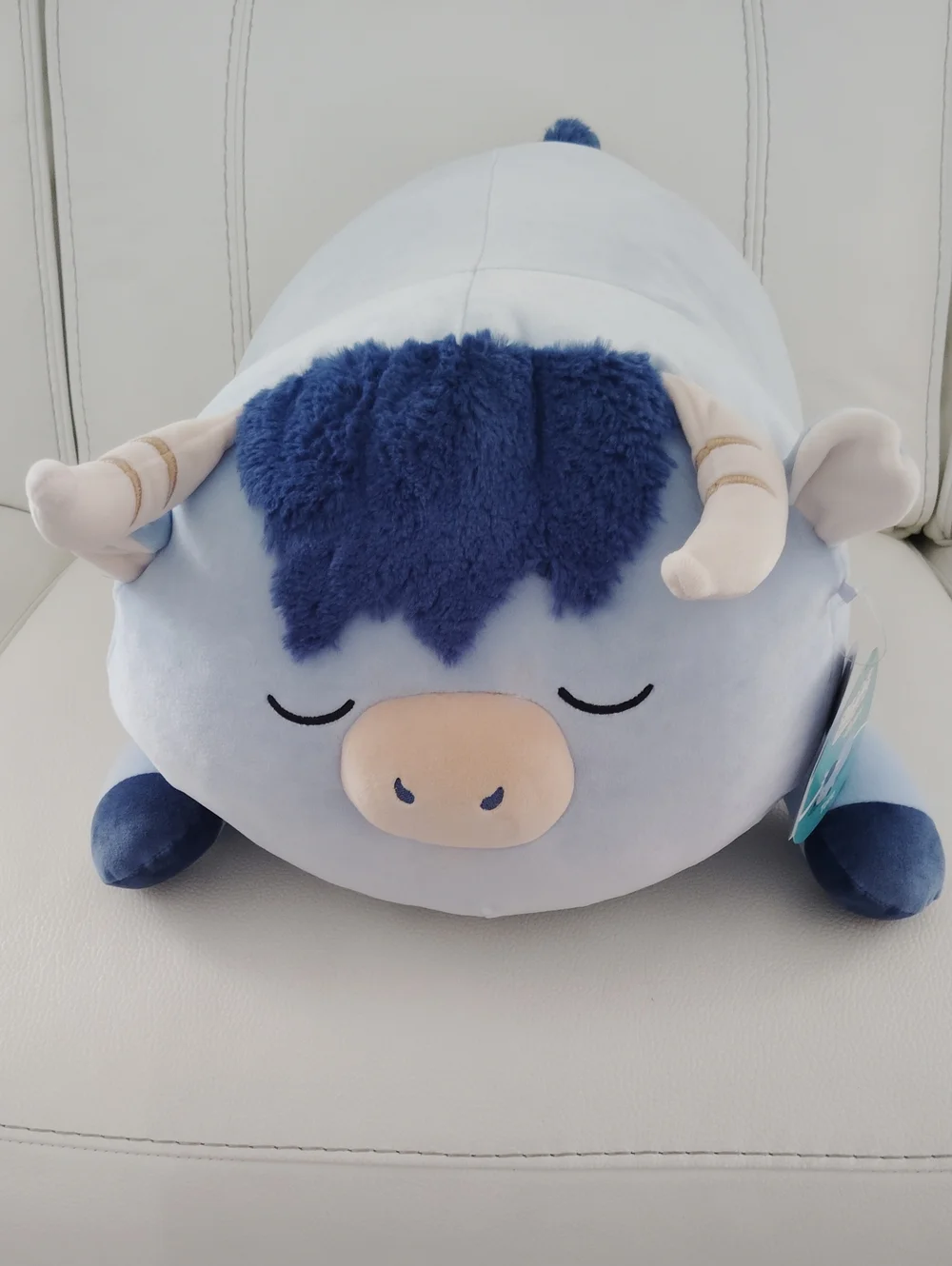 Squishmallows 18